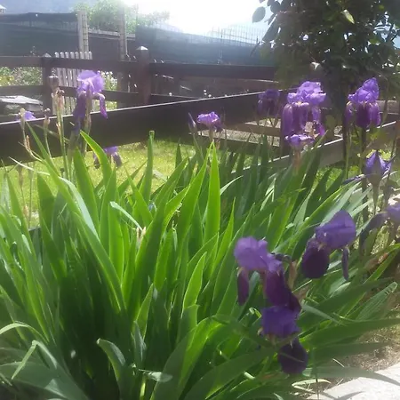 Lo Verdze Di Pensjonat 4*