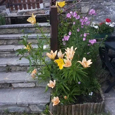 托尔诺罗威尔德滋旅馆 4* 托尔诺