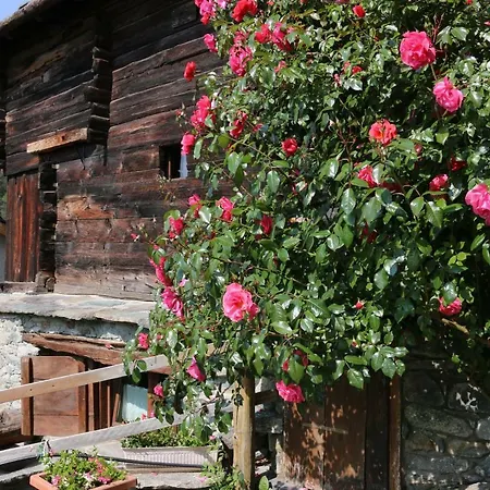 招待所 托尔诺罗威尔德滋旅馆 托尔诺