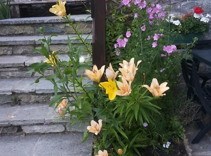 Lo Verdze Di 4* טורניון