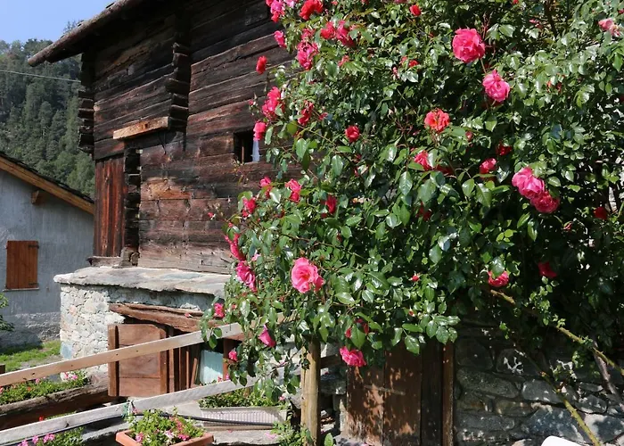 בית הארחה Lo Verdze Di טורניון